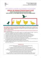 influenza aviaire hautement pathogène